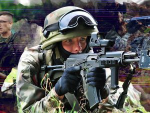 Территориальная оборона республики