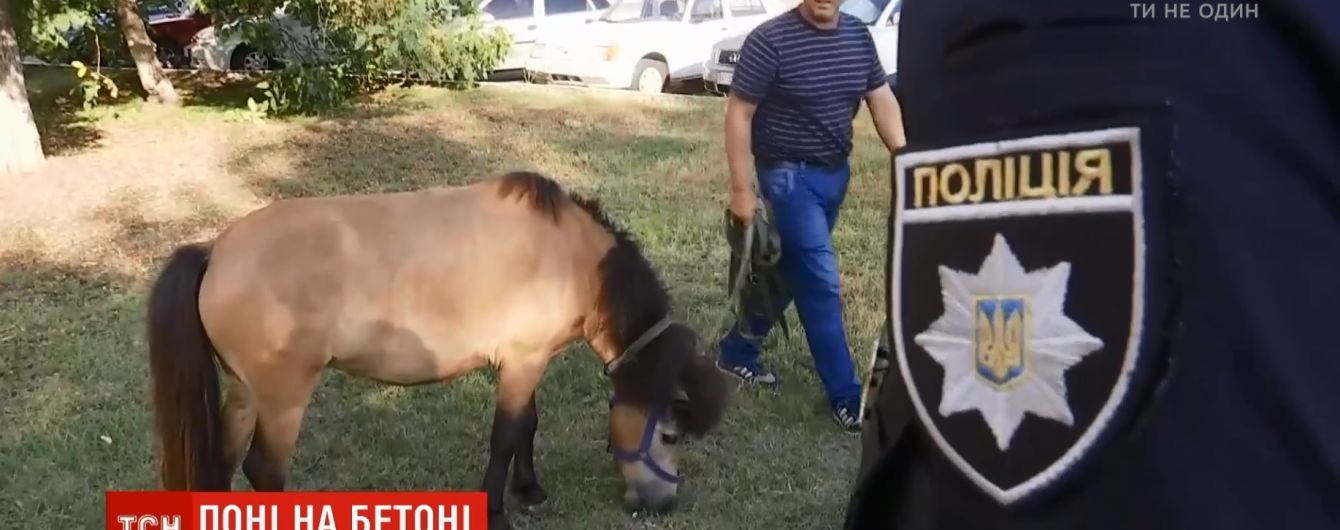 У Києві на Голосіївському проспекті поліція затримала поні
