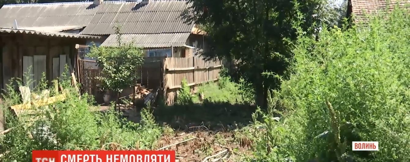 Новонароджене дитя молодої прикордонниці з Волині знайшли закопаним на городі
