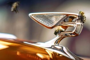 Мед Bentley. На заводе британской марки установили улья с пчелами
