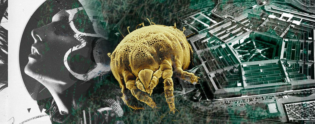 Клещи – биологическое оружие Холодной войны. Как связаны Пентагон и распространение опасной болезни Лайма