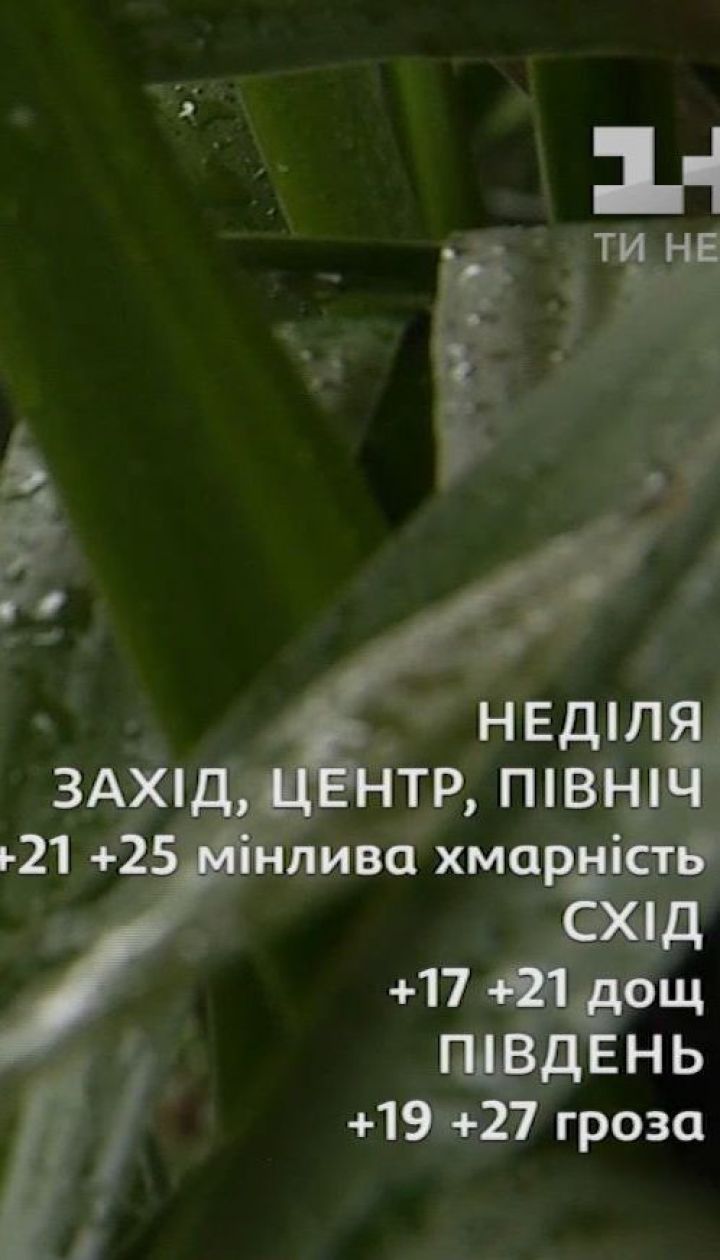 Огляд погоди на перші вихідні серпня
