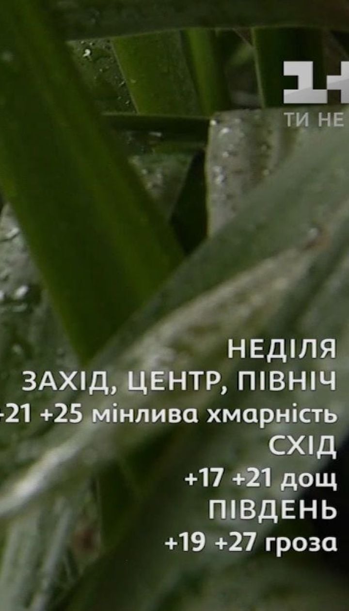 Обзор погоды на первые выходные августа