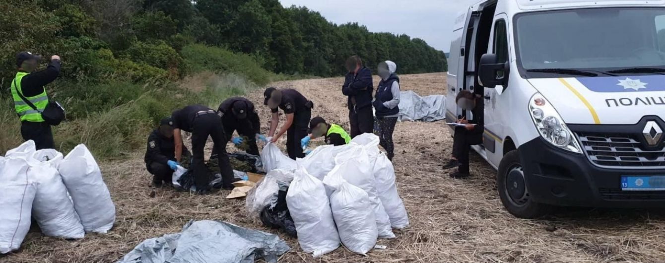Поліцейські виявили у лісосмузі на Луганщині мішки зі 150 кілограмами марихуани