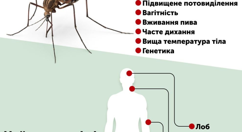 Ученые объяснили, кого и почему комары жалят чаще всего. Читайте на sunrise-food.ru