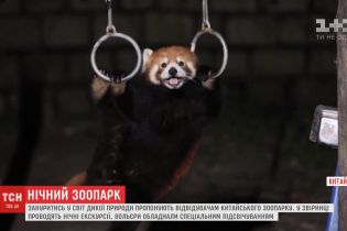 Дикая природа: китайский зоопарк удивил посетителей ночными экскурсиями