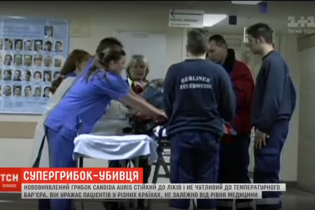 Супергрибок-убийца косит людей в разных концах планеты: добрался ли он в Украину и как с ним бороться