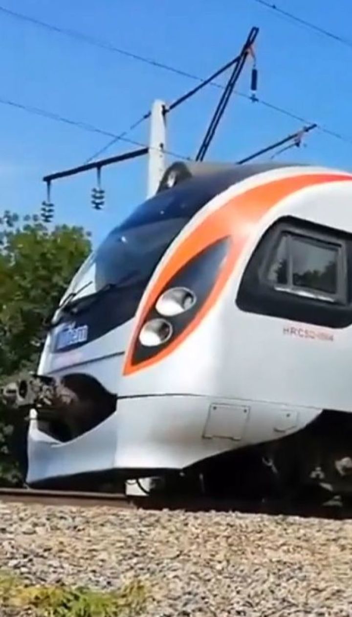 Скоростной поезд сломался посреди поля - пассажиры прождали около 2 часов