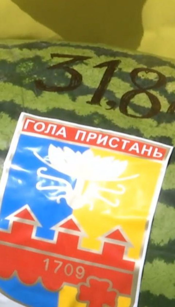 Найбільший кавун сезону визначили на Херсонщині