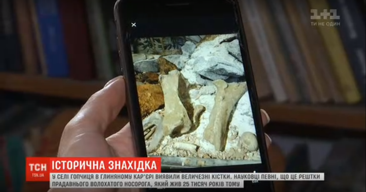 На Винниччине во время добычи глины нашли кости гигантского доисторического животного - мохнатого носорога