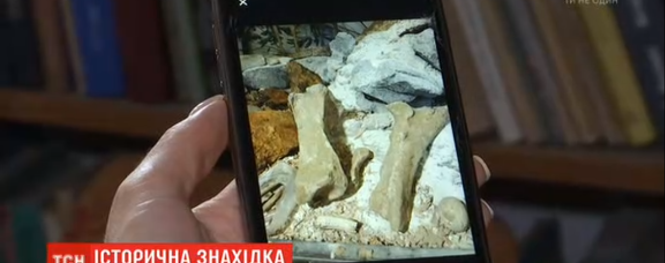 На Винниччине во время добычи глины нашли кости гигантского доисторического животного - мохнатого носорога