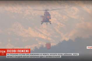 На греческих островах Эвия бушуют пожары: власти объявили чрезвычайное положение и массовую эвакуацию