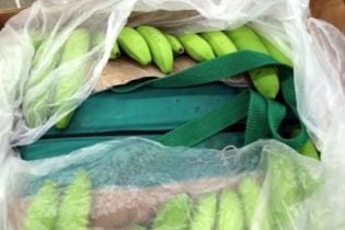 Кокаина на 2,5 миллионов евро нашли в коробках с бананами в Болгарии
