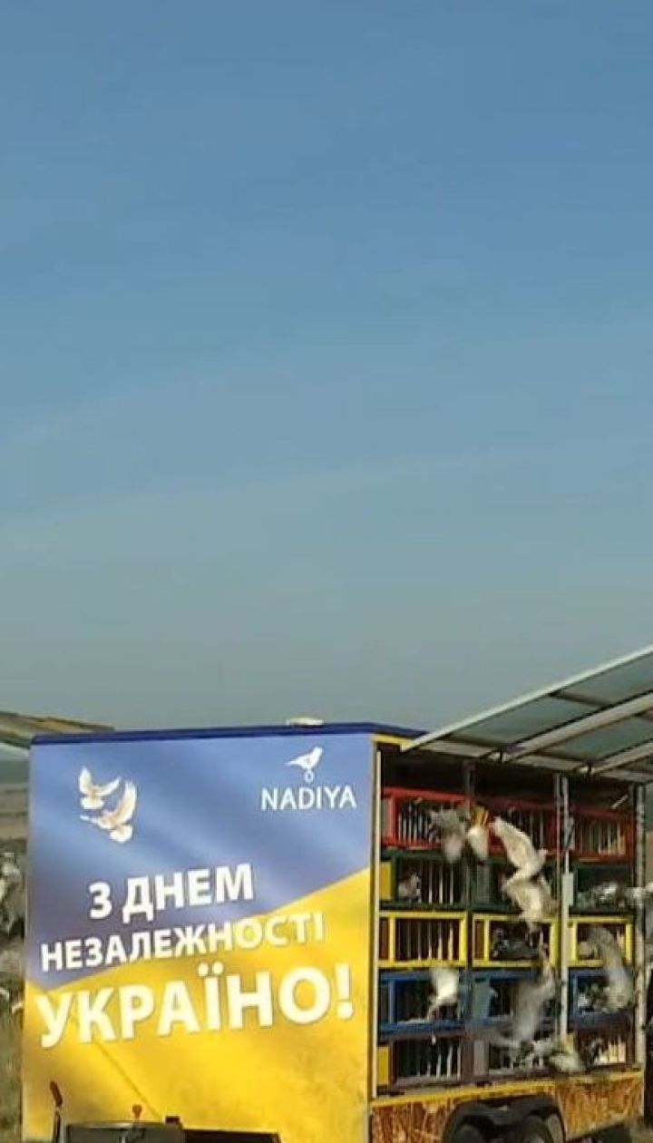 1200 голубей одновременно выпустили в небо на Прикарпатье