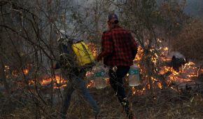 Понад 1,8 млн гектарів у вогні: амазонські ліси Болівії теж охопили рекордні пожежі