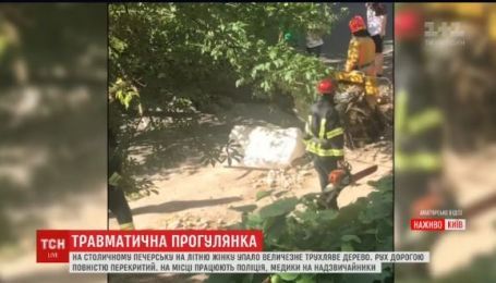 В Киеве на женщину упало дерево: у пострадавшей поврежден позвоночник