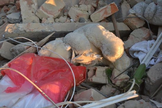 Усі загиблі через обвал будинку у Дрогобичі померли миттєво – рятувальники