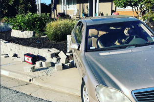 Собака "угнала" Mercedes и устроила аварию в Америке. Фото