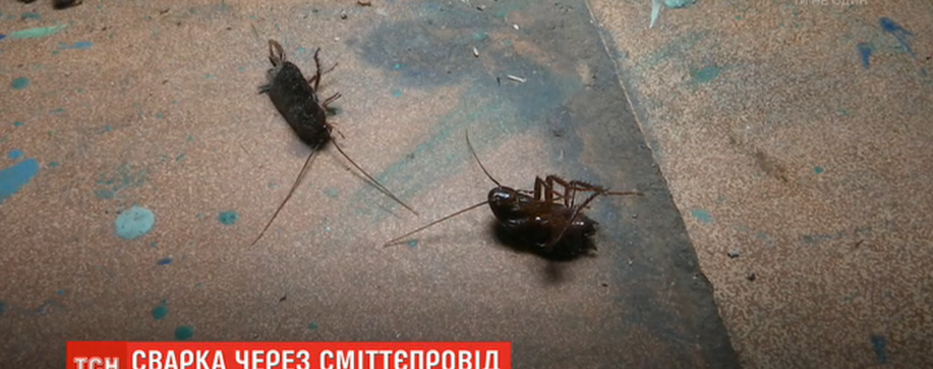 Таргани і сморід. Жителі київської багатоповерхівки пересварилися через сміттєпровід у під’їзді