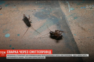 Тараканы и вонь. Жители киевской многоэтажки перессорились из-за мусоропровода в подъезде