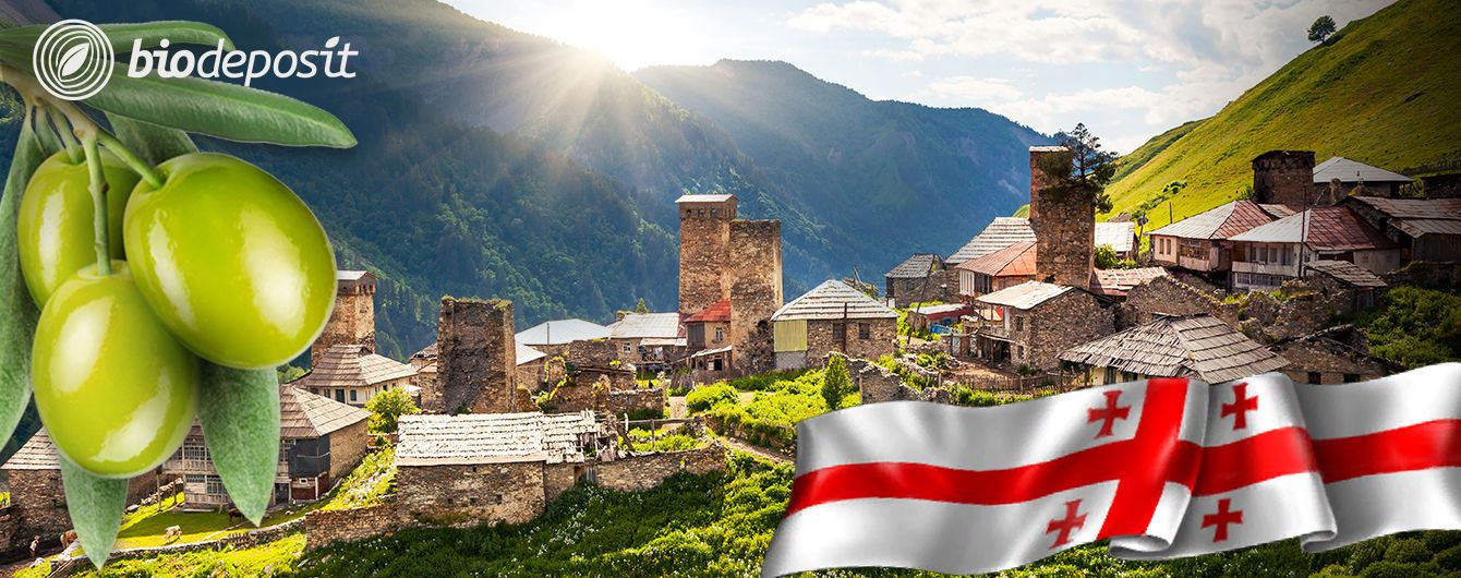 оливковое масло_реклама