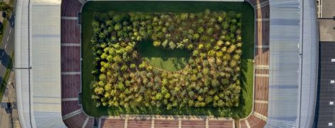 В Австрії висадили ліс посеред футбольного стадіону, щоб привернути увагу до вирубування дерев