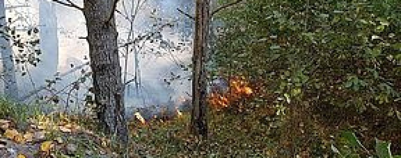 В селе на Полтавщине во время горения сухой травы погиб 82-летний мужчина