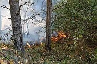В селе на Полтавщине во время горения сухой травы погиб 82-летний мужчина