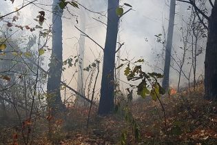 На Житомирщине лесные пожары охватили 100 гектаров территории