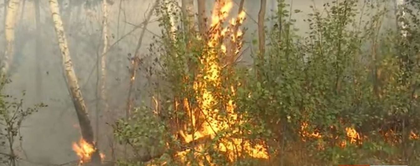 Пожар в Чернобыльской зоне: из-за сильного ветра вспыхивают все новые очаги