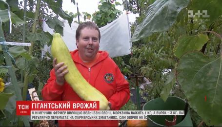 Фермер XXL: в Германии мужчина выращивает овощи чемпионских размеров