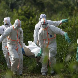 Лихорадка западного Нила, вирусы Зика и Эбола, "агент Х": инфекционисты назвали угрозы, значительно страшнее коронавируса