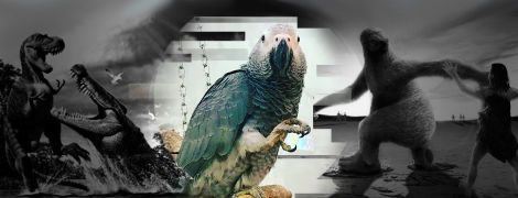 Учені запідозрили мегапапуг у канібалізмі та знайшли пінгвіна-монстра: останні "гігантські" відкриття