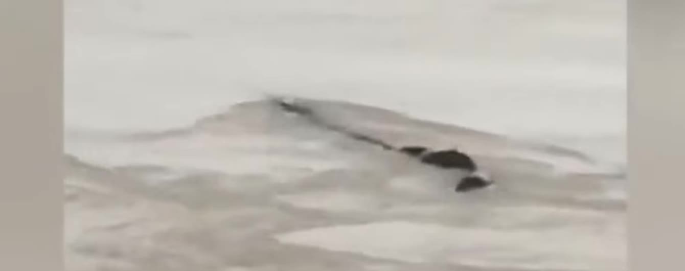 Китайців налякало 18-метрове “Лохнеське чудовисько” у воді. Воно виявилося гумою
