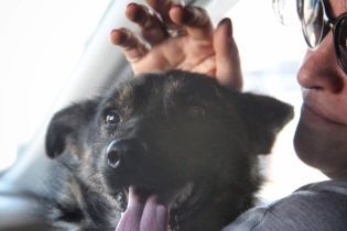 Адвокат показав зворушливе відео зустрічі звільненого українського моряка з поверненою з полону собакою
