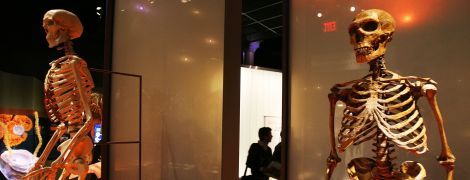 Таємниця гибелі неандертальців. Учені запідозрили у винищені давніх людей звичайну дитячу хворобу