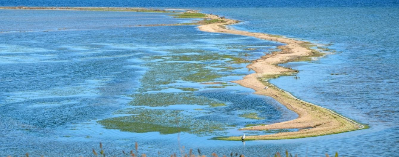На Одещині браконьєри напали на охоронців національного парку