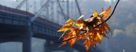 Какой будет погода в начале новой недели. Прогноз на понедельник