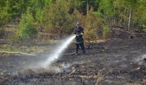 Под Киевом горят торфяники - в одном из районов столицы ухудшилось состояние воздуха