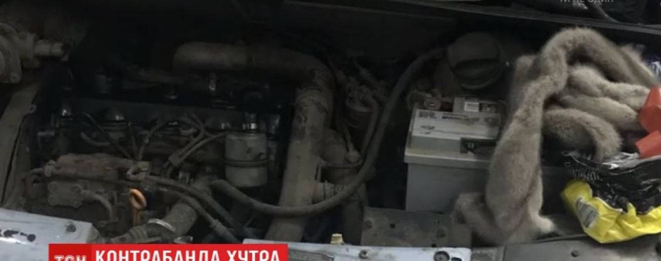Украинка пыталась вывести в Европу сотни норковых шкурок