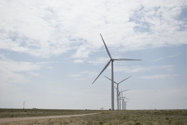 PledgeForPlanet_реклама