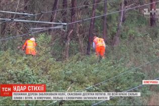 Поваленные деревья и хаос на железной дороге: разрушительная непогода в Европе унесла жизни трех человек