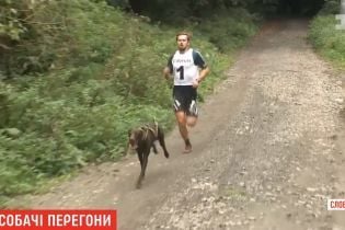 Собачьи бега: в Словакии псы на скорость тянули хозяев на велосипедах