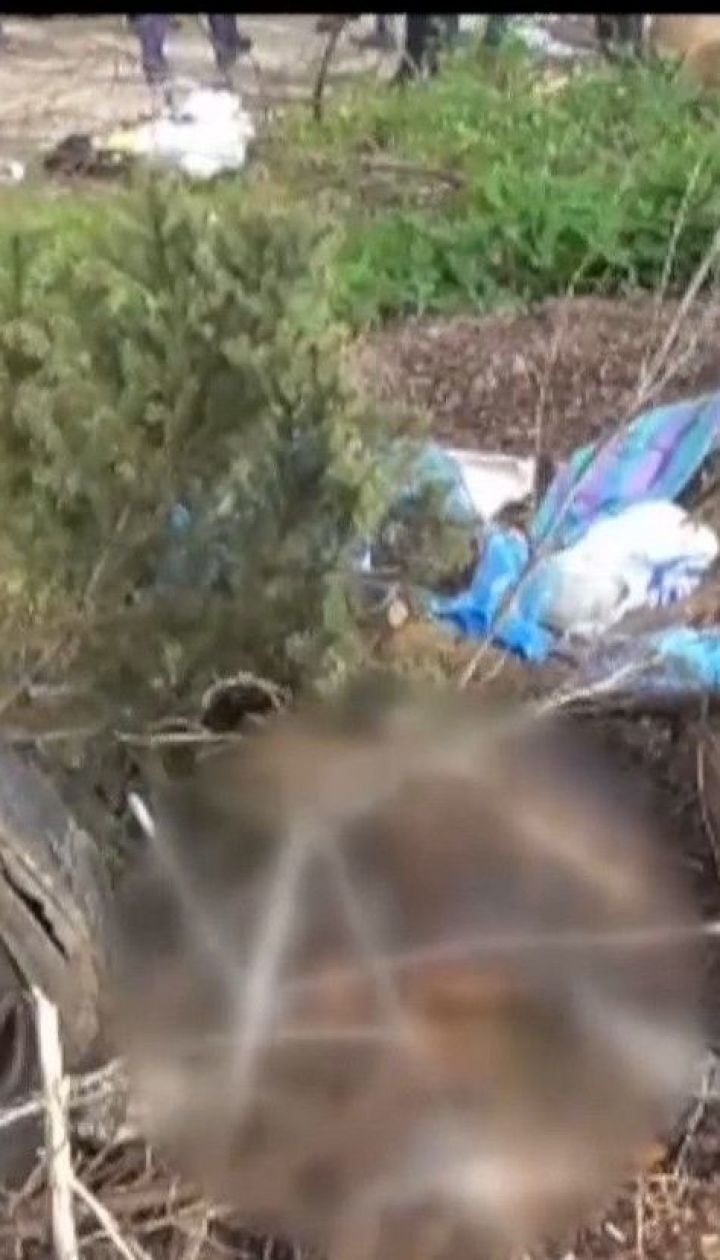 В разгар ссоры женщина убила родную мать и увезла тело на заброшенный недострой