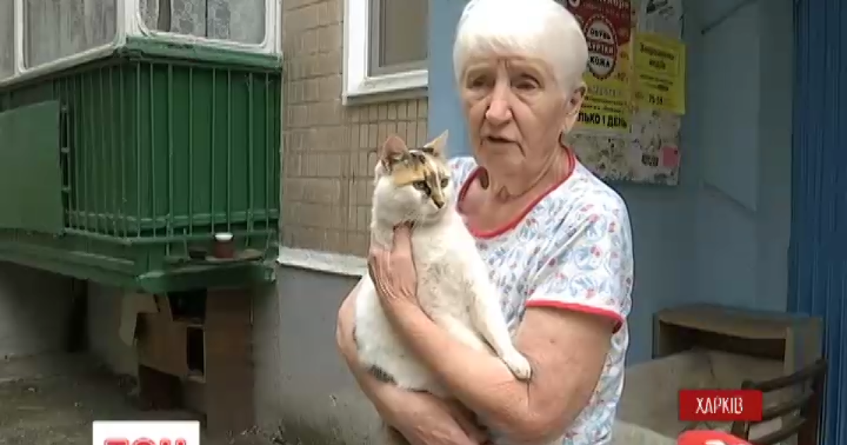 В Харькове из-за бешенства ввели карантин