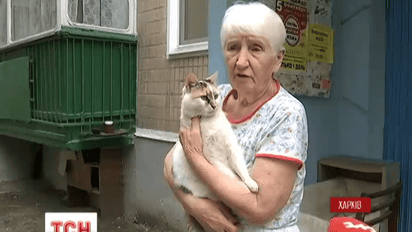 В одном из районов Харькова из-за бешенства ввели карантин