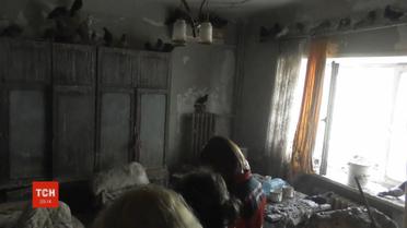 У Запоріжжі пенсіонерка перетворила свою квартиру на голубник