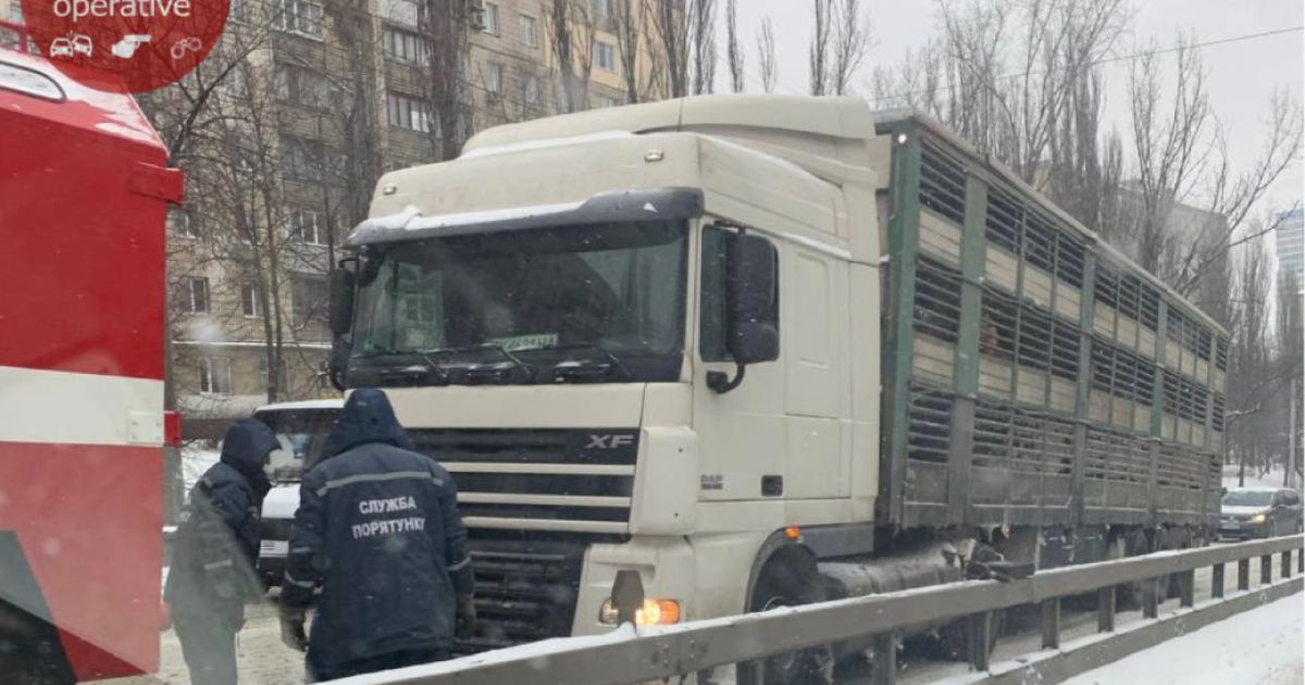 У Києві на Сирці у снігу застрягла фура з тваринами