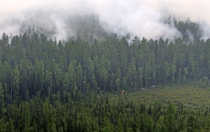 Пожары в Сибири: огонь охватил 3 млн га леса, власть хочет вызвать искусственные дожди, к тушению приобщаются шаманы
