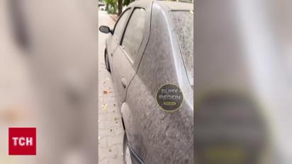 Суне нова пилова буря! На Україну суне нова потужна пилова буря!